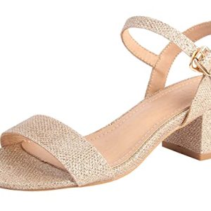 Women's Open Toe Ankle Strap Glitter Low Block Chunky Heels Sandals Dress Pumps Shoes